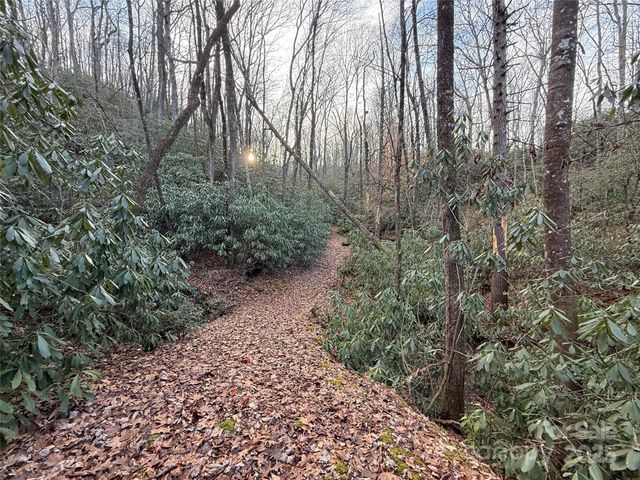 TR-17 Double Falls Road 17, Pisgah Forest, NC 28768