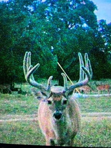 7748 Winslow LN, Menard, TX 76859