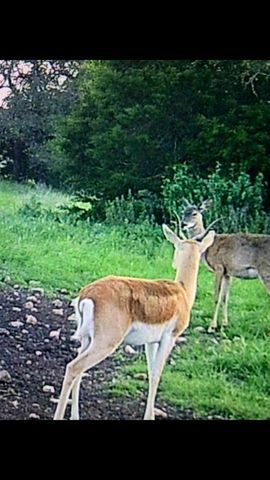 7748 Winslow LN, Menard, TX 76859