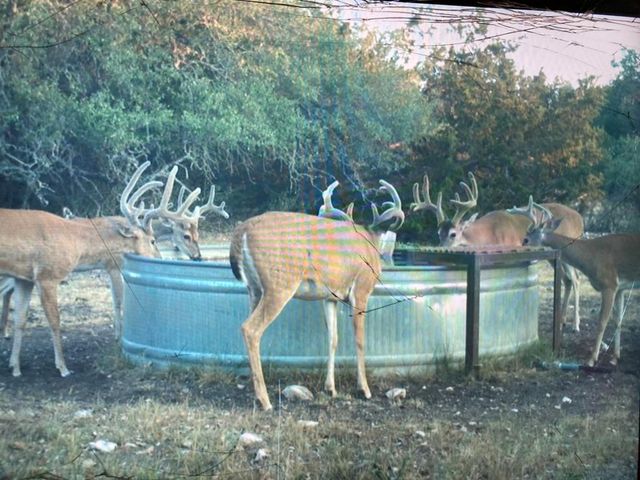 7748 Winslow LN, Menard, TX 76859