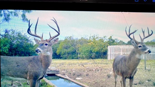 7748 Winslow LN, Menard, TX 76859