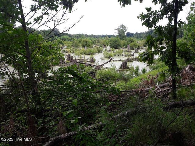 1064 Stevens Mill Road, Goldsboro, NC 27530