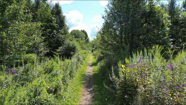 9670 Murdock Goshen Road, Hamilton Twp, OH 45140