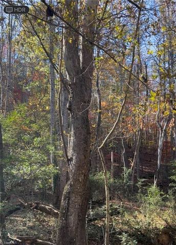 0 Snuggs Park Road, Albemarle, NC 28001