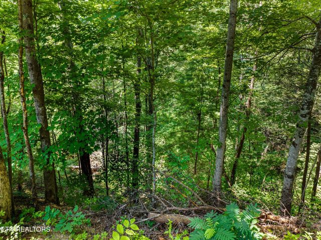 1005 Laurel Rd, Townsend, TN 37882