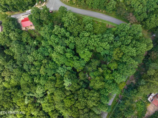 1005 Laurel Rd, Townsend, TN 37882