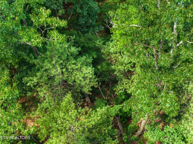 1005 Laurel Rd, Townsend, TN 37882