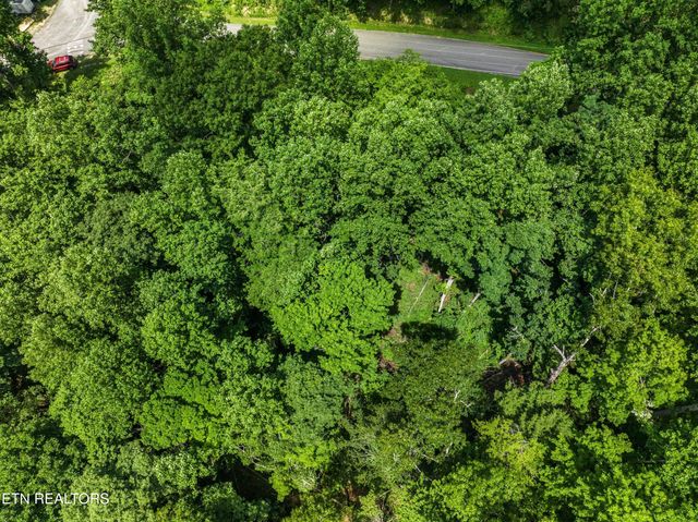 1005 Laurel Rd, Townsend, TN 37882