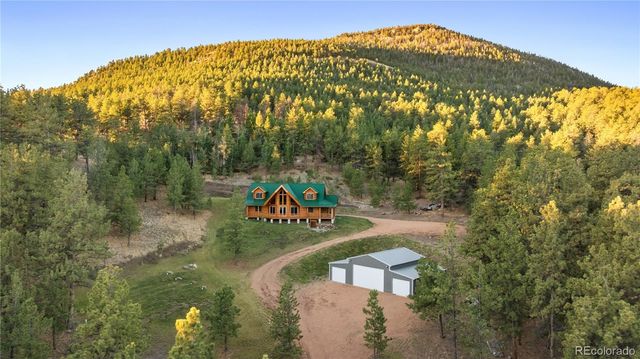 9100 County Rd 102, Guffey, CO 80820
