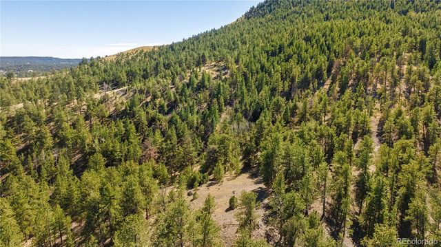 9100 County Rd 102, Guffey, CO 80820