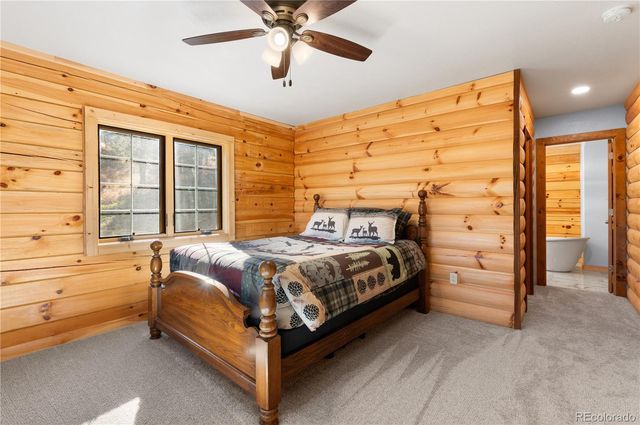 9100 County Rd 102, Guffey, CO 80820