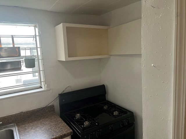 124 Carson Court, Houston, TX 77004