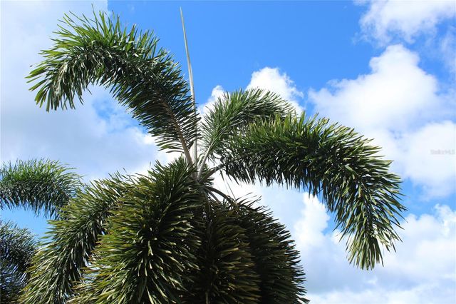 689-A SANDCZAR, Vieques, PR 00765