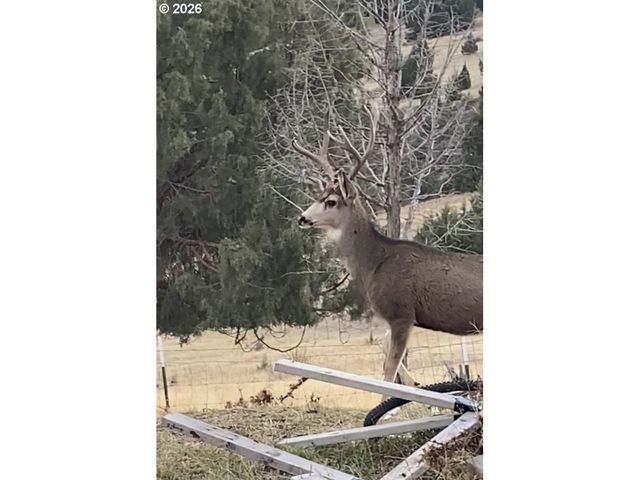 58400 4-K OVERLOOK Ln, John Day, OR 97845