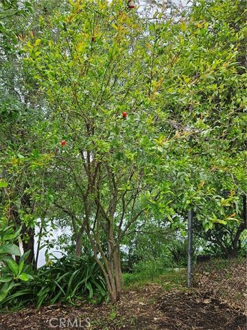 26349 Hillcrest Avenue, Lomita, CA 90717