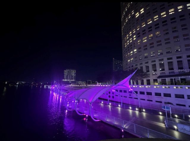 2314 S CLEWIS COURT 204, Tampa, FL 33629