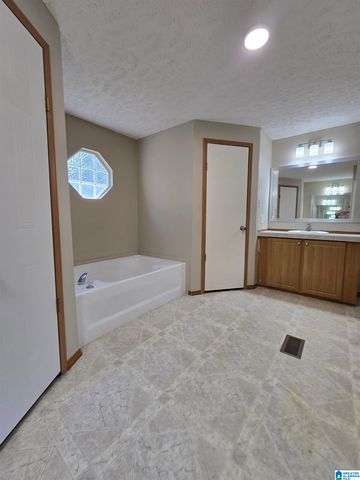 351 MCGINNIS STREET, Springville, AL 35146