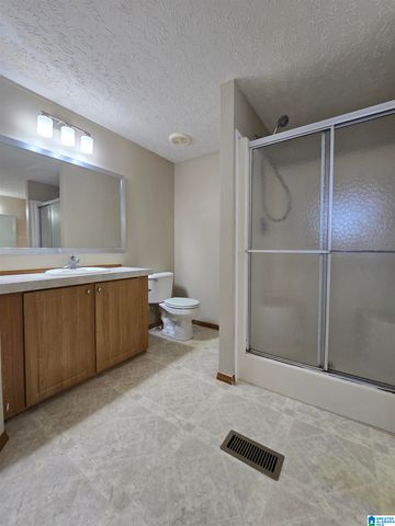 351 MCGINNIS STREET, Springville, AL 35146