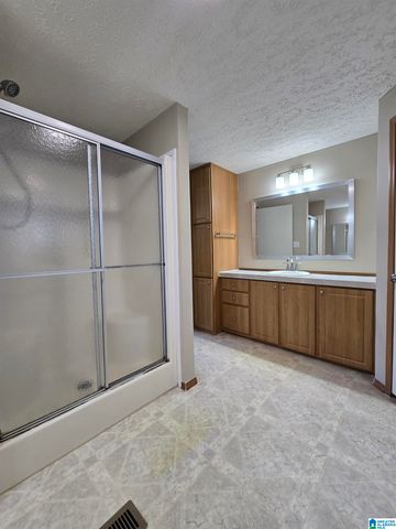 351 MCGINNIS STREET, Springville, AL 35146