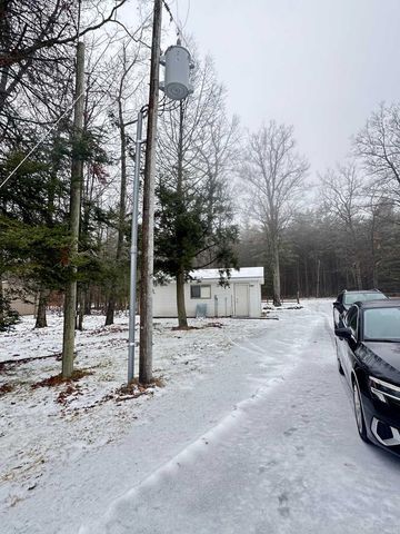 8385 Elevere Road, Lachine, MI 49753