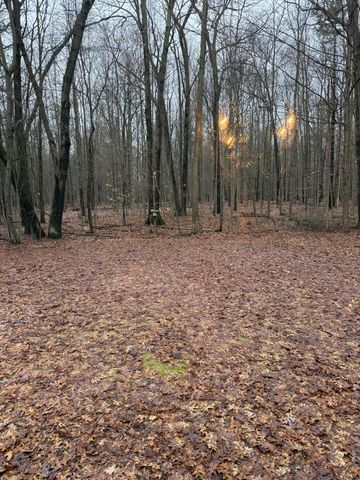 5305 Stanton Boulevard, Montague, MI 49437