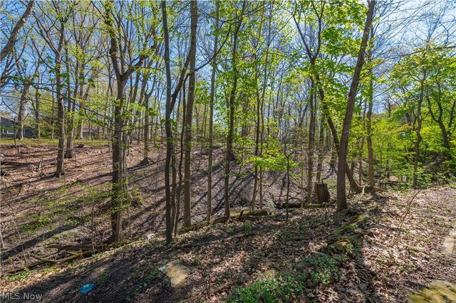 3675 Randolph Road, Cleveland Heights, OH 44121