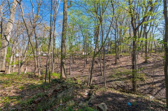 3675 Randolph Road, Cleveland Heights, OH 44121