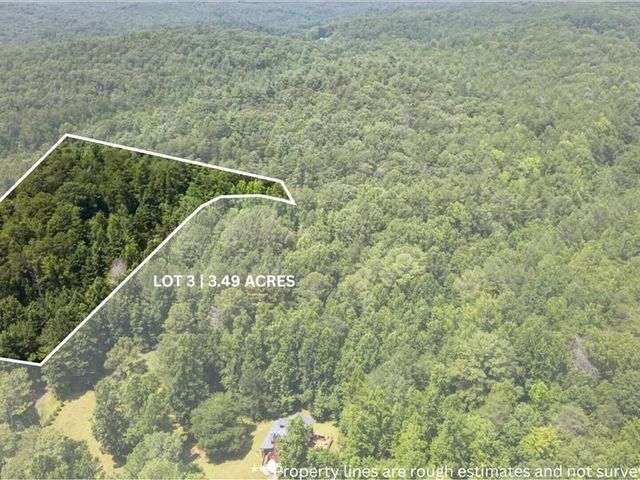 10.66 AC East Ridge Lane, Ellijay, GA 30536