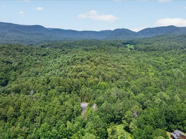10.66 AC East Ridge Lane, Ellijay, GA 30536