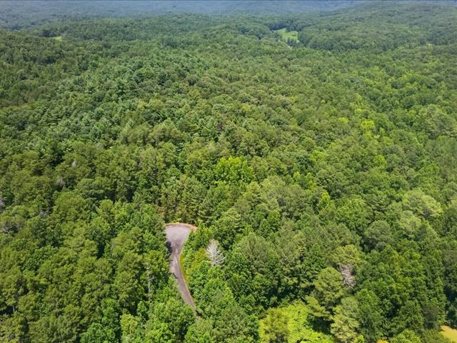 10.66 AC East Ridge Lane, Ellijay, GA 30536