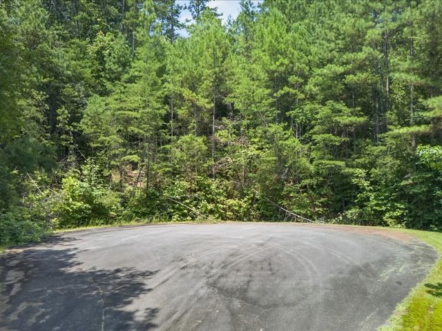 10.66 AC East Ridge Lane, Ellijay, GA 30536