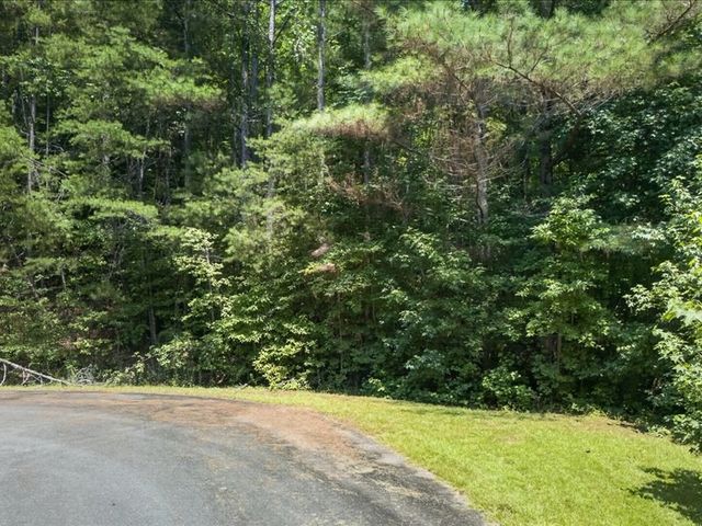 10.66 AC East Ridge Lane, Ellijay, GA 30536