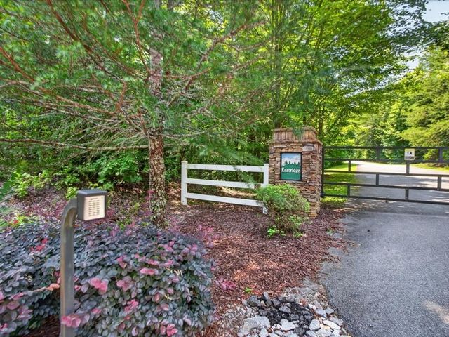 10.66 AC East Ridge Lane, Ellijay, GA 30536