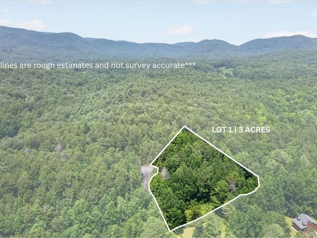 10.66 AC East Ridge Lane, Ellijay, GA 30536