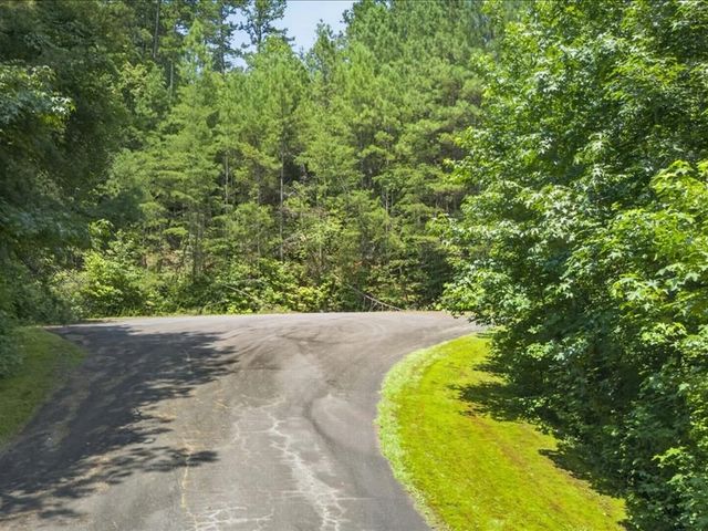 10.66 AC East Ridge Lane, Ellijay, GA 30536