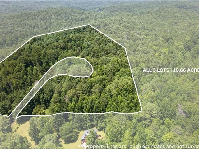 10.66 AC East Ridge Lane, Ellijay, GA 30536