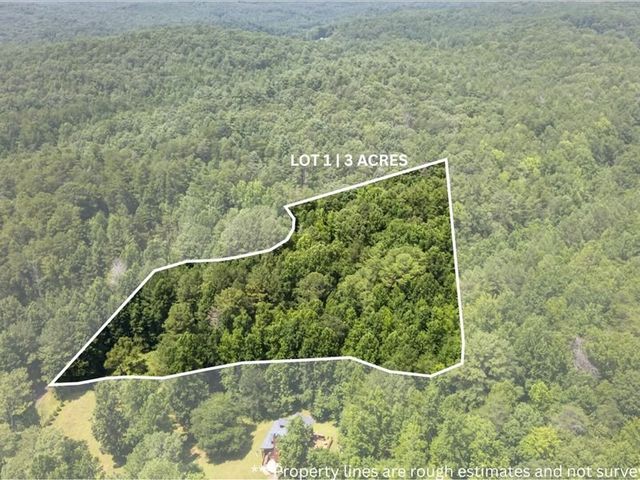 10.66 AC East Ridge Lane, Ellijay, GA 30536
