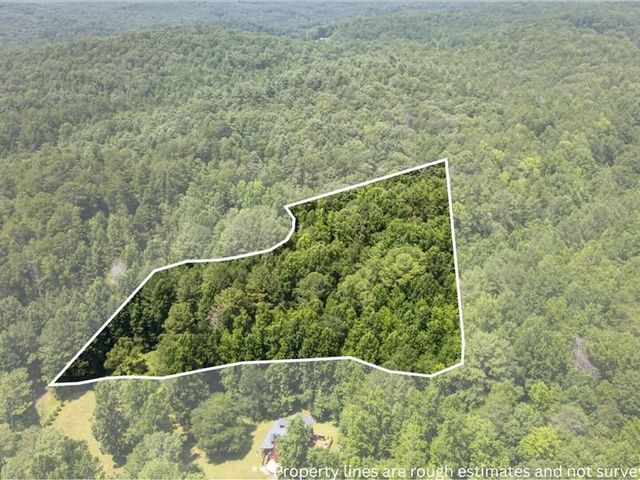 10.66 AC East Ridge Lane, Ellijay, GA 30536