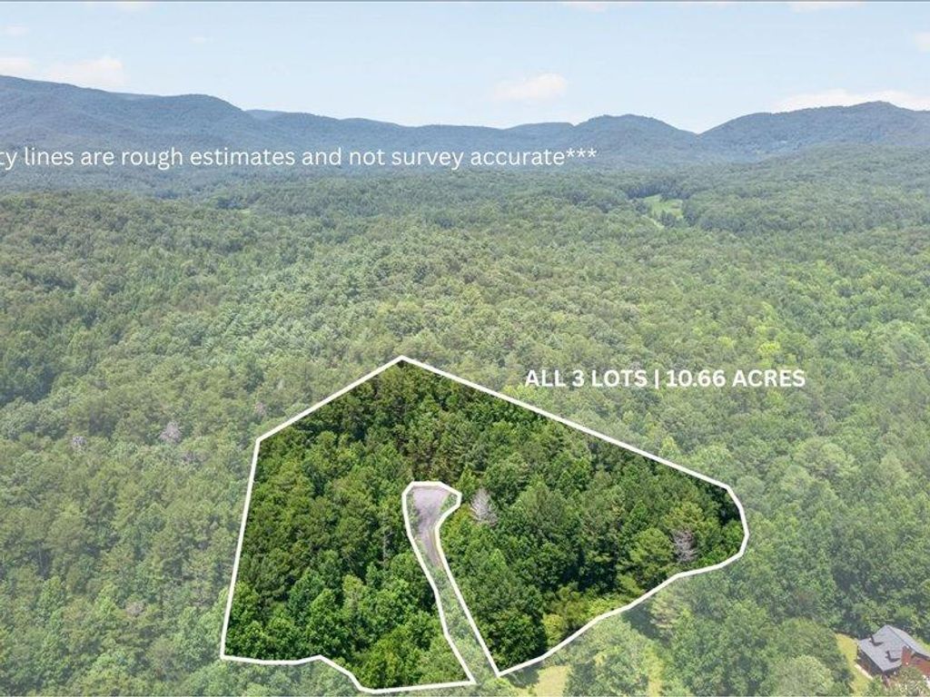10.66 AC East Ridge Lane, Ellijay, GA 30536