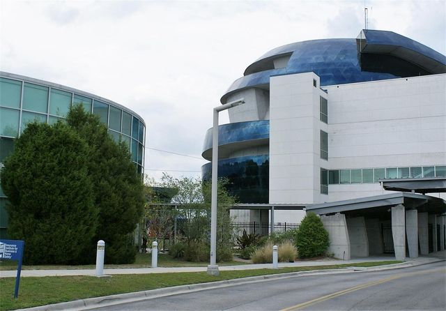 5229 TENNIS COURT CIRCLE, Tampa, FL 33617