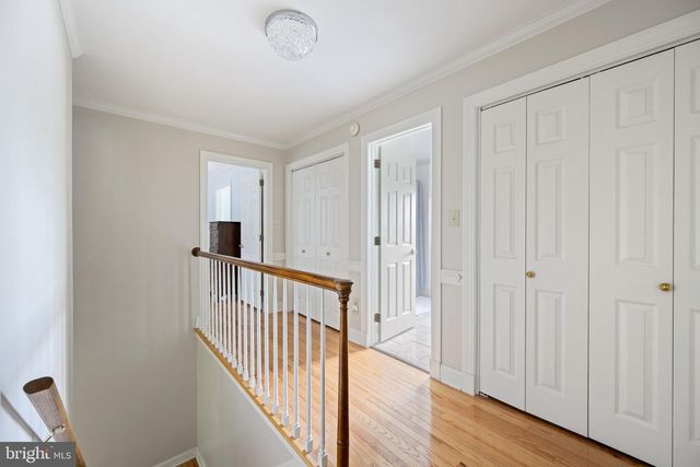 1113 COTTON PATCH ISLAND ISL, Salisbury, MD 21801