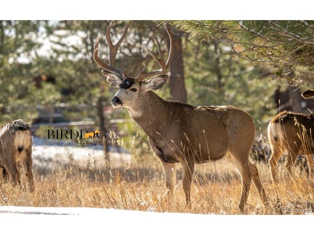 7905 Ponderosa Ln, Parker, CO 80138
