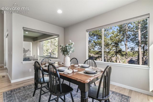 16267 Thunder Cat Way, Monument, CO 80132
