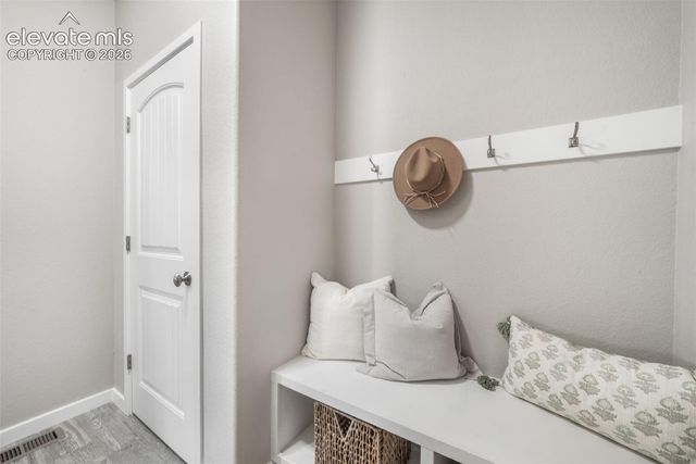 16267 Thunder Cat Way, Monument, CO 80132