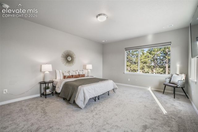 16267 Thunder Cat Way, Monument, CO 80132