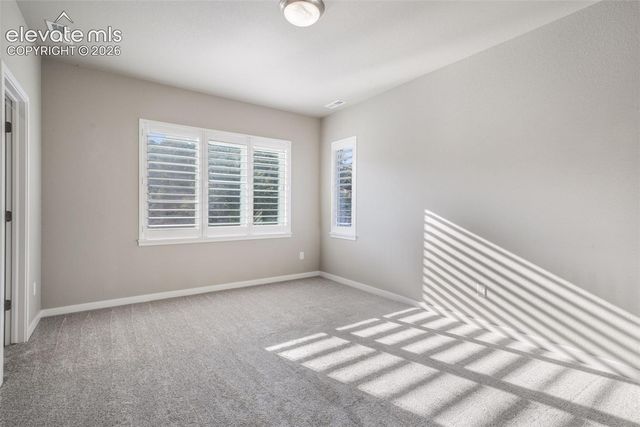 16267 Thunder Cat Way, Monument, CO 80132