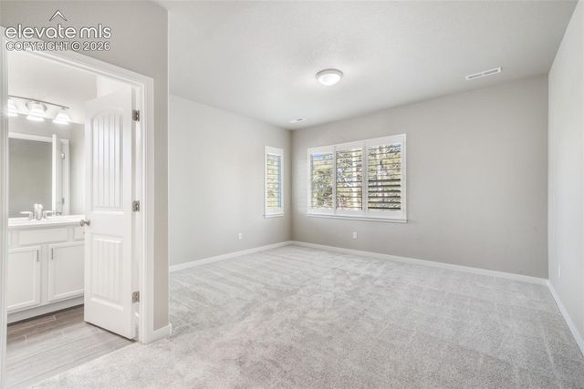 16267 Thunder Cat Way, Monument, CO 80132