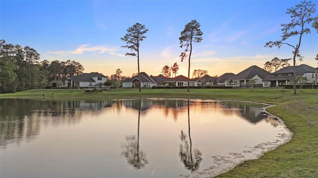 15391 Ringbill Way, Magnolia, TX 77354