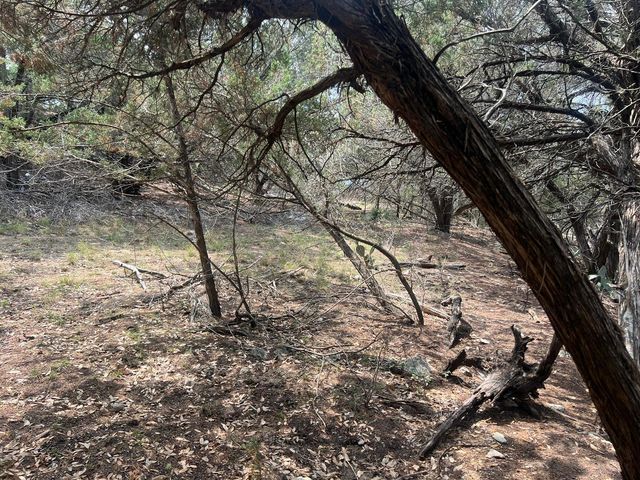 19906 CONSTITUTION CV, Lago Vista, TX 78645