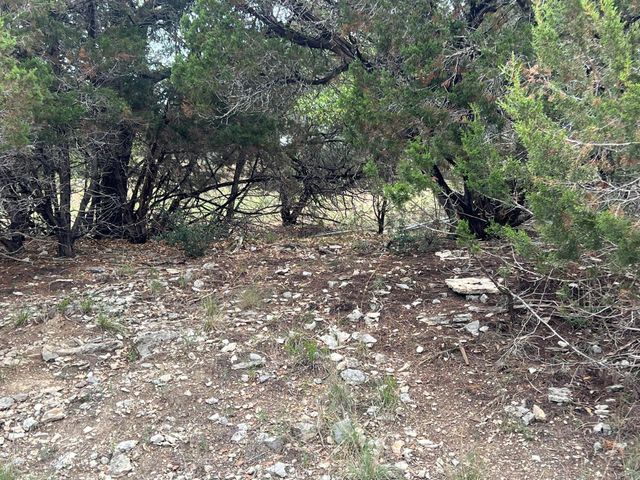 19906 CONSTITUTION CV, Lago Vista, TX 78645